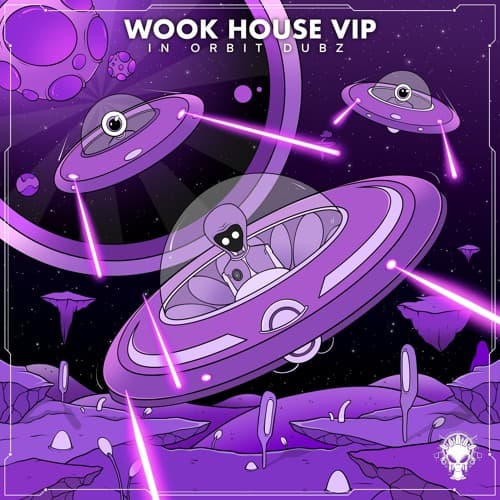 Wook House (VIP) artwork